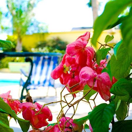 Golden Sands Hotel クライストチャーチ エクステリア 写真